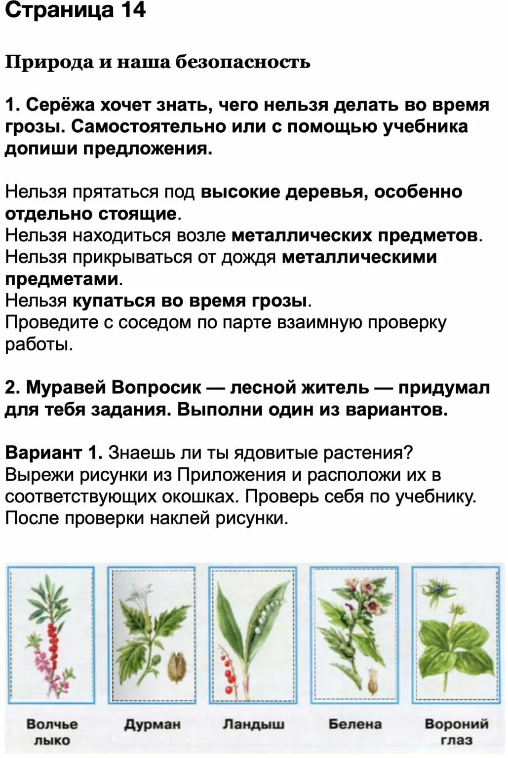 Мир растений 3 класс окружающий мир рабочая тетрадь. Окружающий мир 3 класс 1 часть страница 5 номер 2. Природа и наша безопасность рабочая тетрадь. Окружающий мир 3 класс 2 часть страница 14.