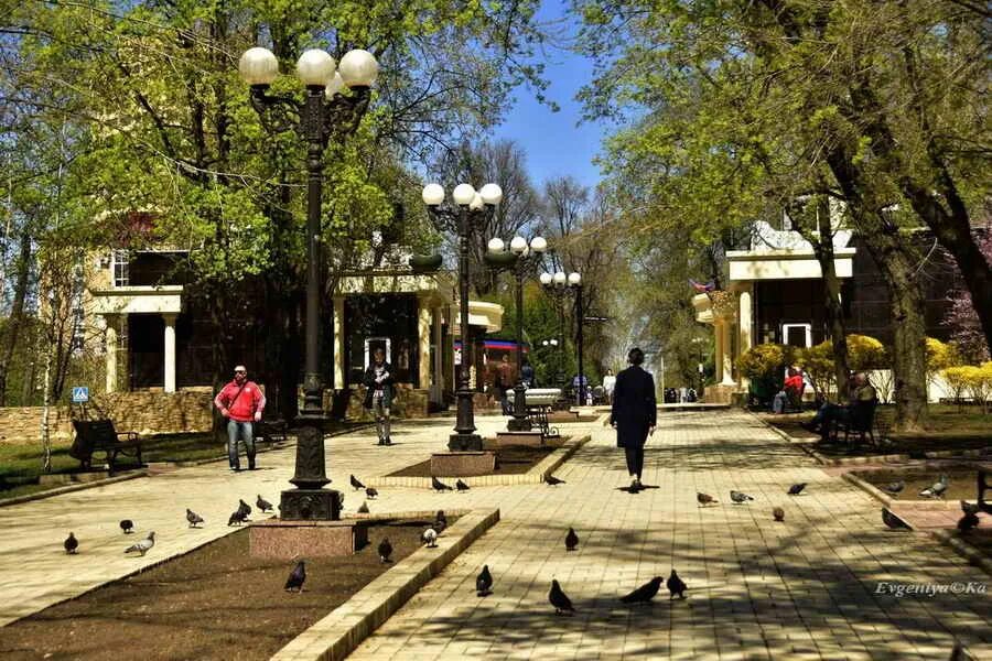 "Академия Граней", визуализация первая, город - БлогВинни Фред