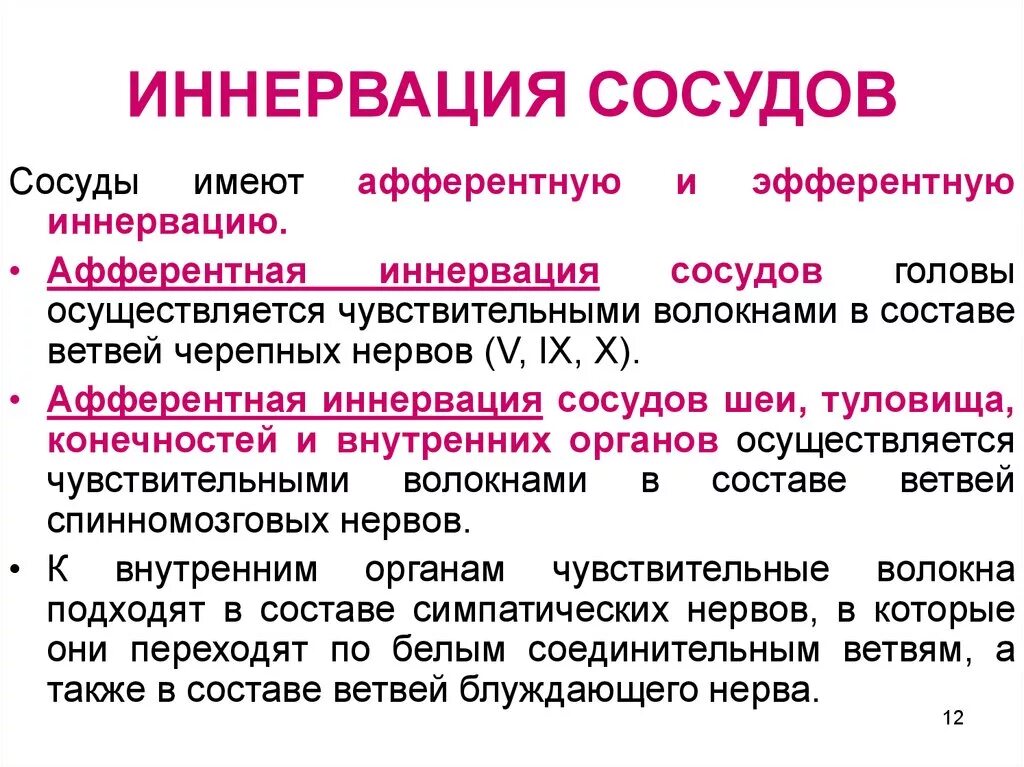 Иннервирует гладкие мышцы. Иннервация сосудов. Иннервация кровеносных сосудов. Иннервация артерий. Иннервация сосудов физиология.