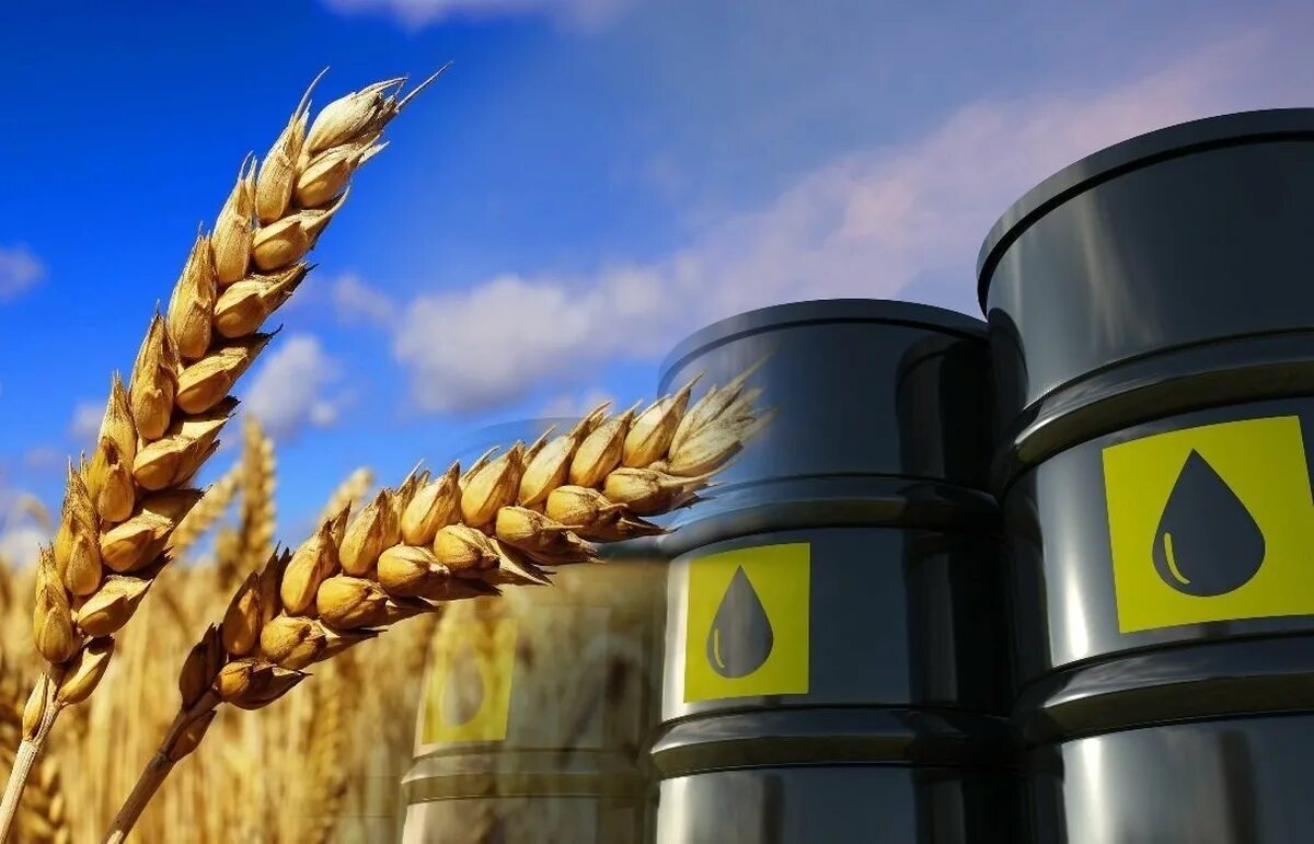 Нефть в сельском хозяйстве. Нефть и зерно. Урожай зерна. Биотопливо из пшеницы.