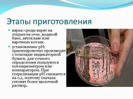 Приготовление сред