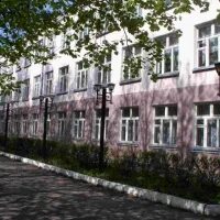 Мичуринский лицей. Мичуринский лицей учителя. Эмблема мичуринского лицея. Символ лицея. Мичуринский лицей.