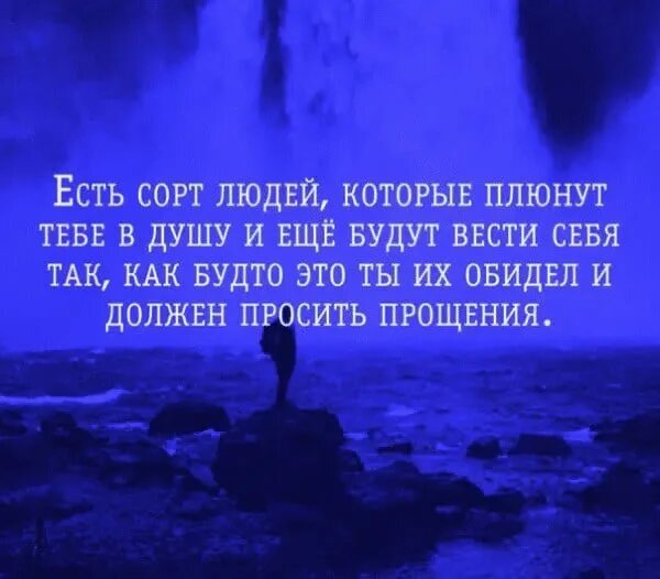 Отдала бывшему всю душу. Есть сорт людей которые. Вытирают ноги об человека цитаты. Есть сорт людей которые плюнут в душу. Цитаты не позволю вытирать об себя ноги.