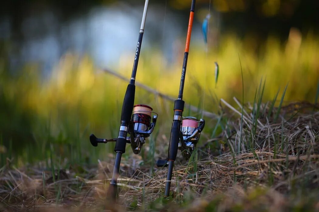 Спиннинг рыбалка на спиннинг. Спиннинг спорт. Видео обзор видео удочки. Спиннинговая рыбалка. Нано бомбарда.