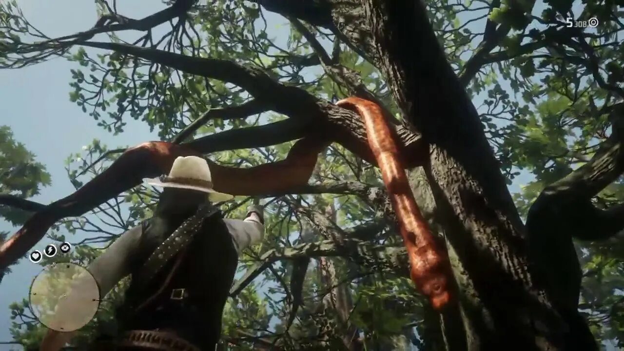 Где змеи в рдр 2. Red dead redemption 2 гуарма карта. Red dead redemption 2 крокодил легендарный. Rdr 2 змеи. Рдр 2 джунгли.