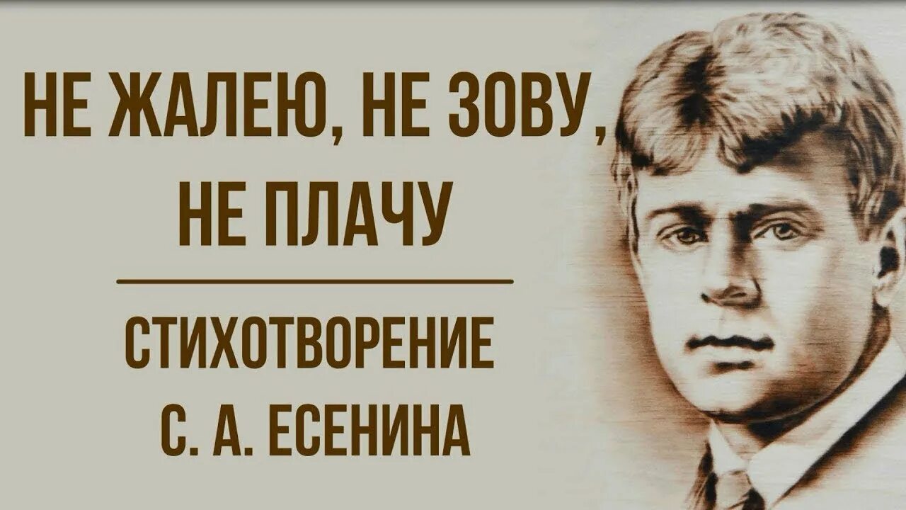 Не жалейте не зовите