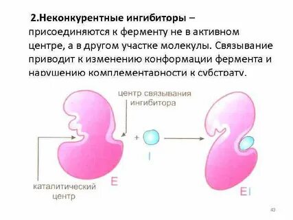 Неконкурентное ингибирование