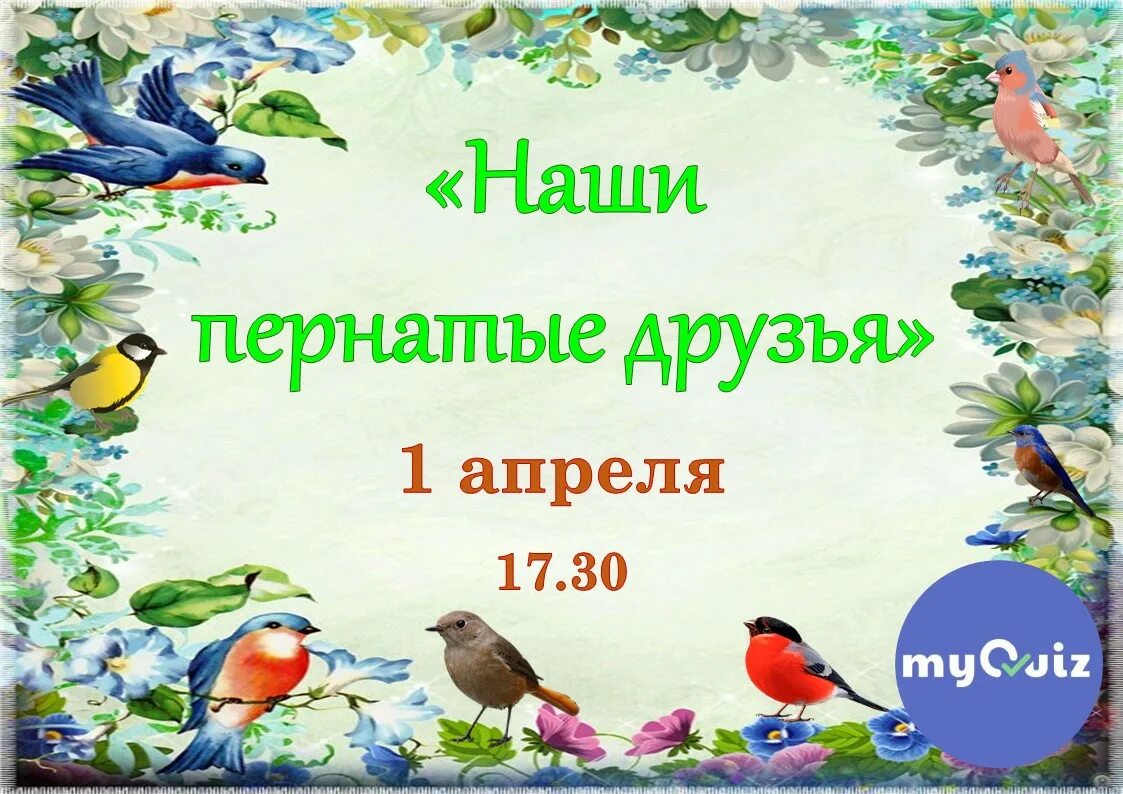 День птиц в детском саду презентация. Птицы наши пернатые друзья. Классный час пернатые друзья. Наши пернатые друзья презентация. Беседа птицы наши пернатые друзья.