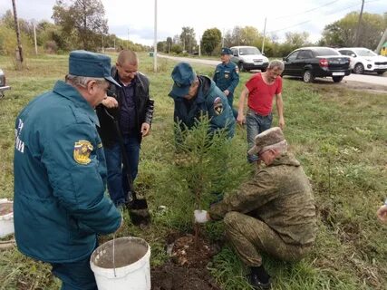 Погода в скопинском районе рязанской