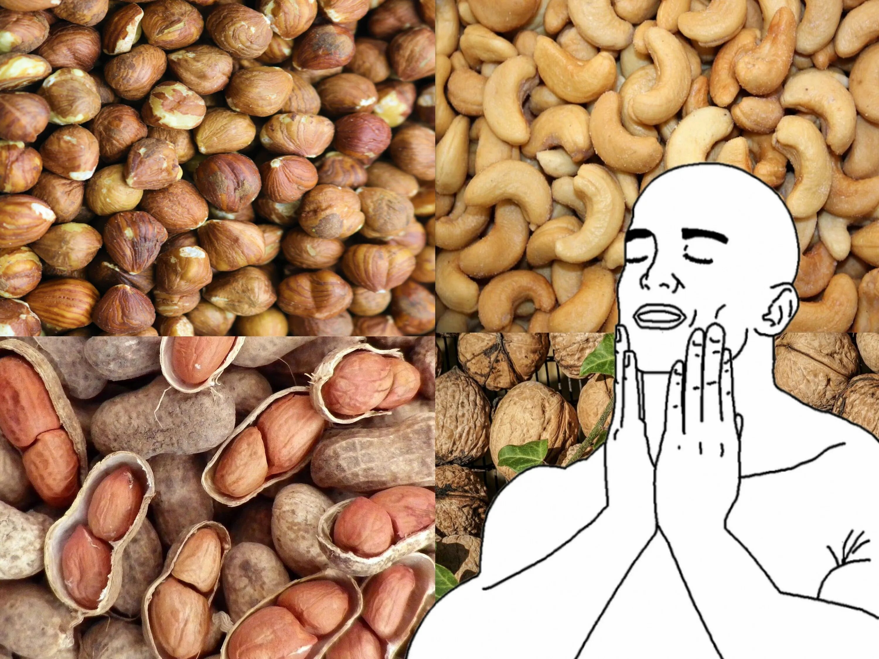 Орехи аллерген. Виды орехов. Аллергия на орехи грецкий орех.
