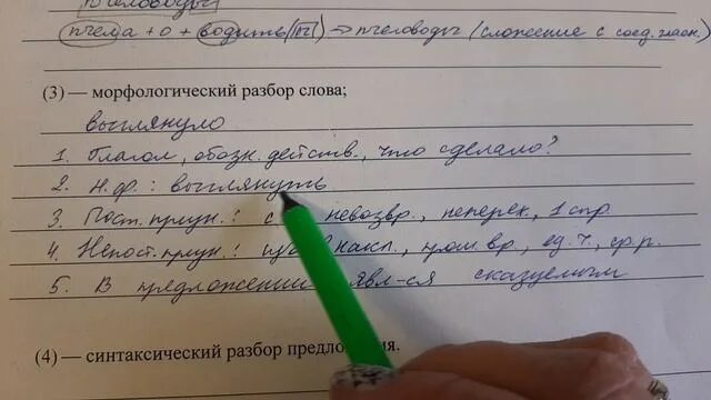 ВПР 6 класс разборы. Языковые разборы ВПР. Синтаксический разбор ВПР 5 класс. Морфологический разбор ВПР 5 класс.