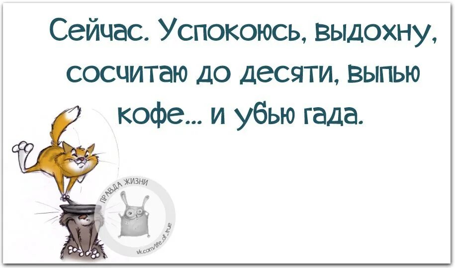 Чуть успокоенный. Правда жизни цитаты. Афоризмы про гадов. Успокойся анекдот. Афоризм люди гады.