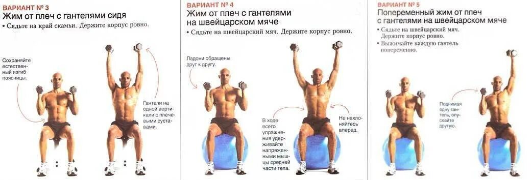 Жим сидя какие мышцы работают. Жим гантелей сидя поочередно. жим гантелями сидя с разворотом. жим гантелей сидя с разворотом. жим гантелей сидя техника.