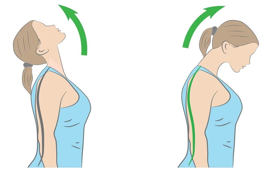 Шею влево вправо. Наклоны головы. Наклоны головы вперед назад. Упражнение наклоны головы в стороны. Наклон головы вперед.