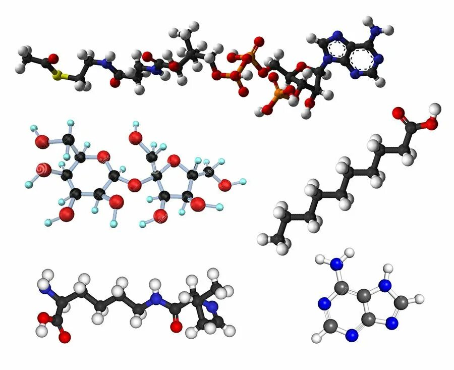 Органическая химия строение молекул. Структуры молекул органических веществ. Строение молекул органических соединений. Химическое строение органических веществ молекулы. Рисунок биополимеров