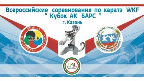 Кубок ак барс по каратэ