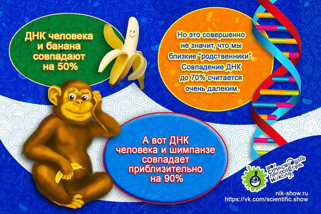 Днк расшифровка. Днк человека что это значит. Репликация удвоение днк. Проблемы проекта геном человека. Инфографика интересные факты.