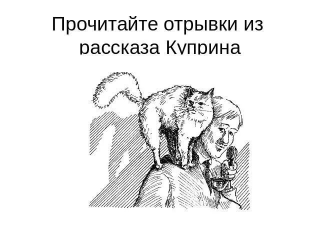 Рассказ ю ю отрывок. Рассказ ю ю отрывок