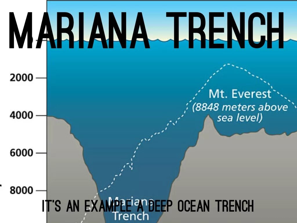 Метров над уровнем моря через. Марианская впадина глубина. Бездна Челленджера в Марианской впадине. Глубина Марианская впадина глубина. Тихий океан Марианский желоб глубина в метрах.