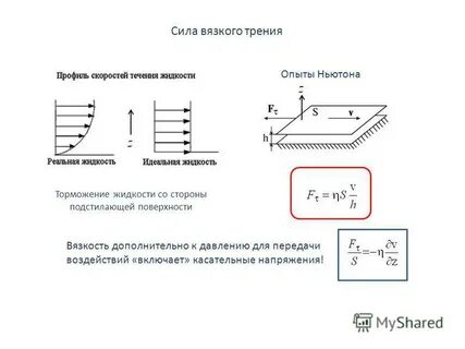Закон трения жидкости ньютона
