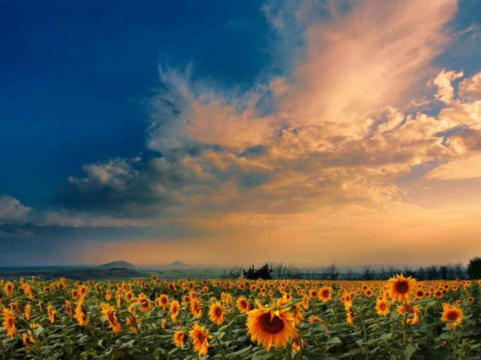 август природа. август природа. август пейзаж. Photo august. Photo august.