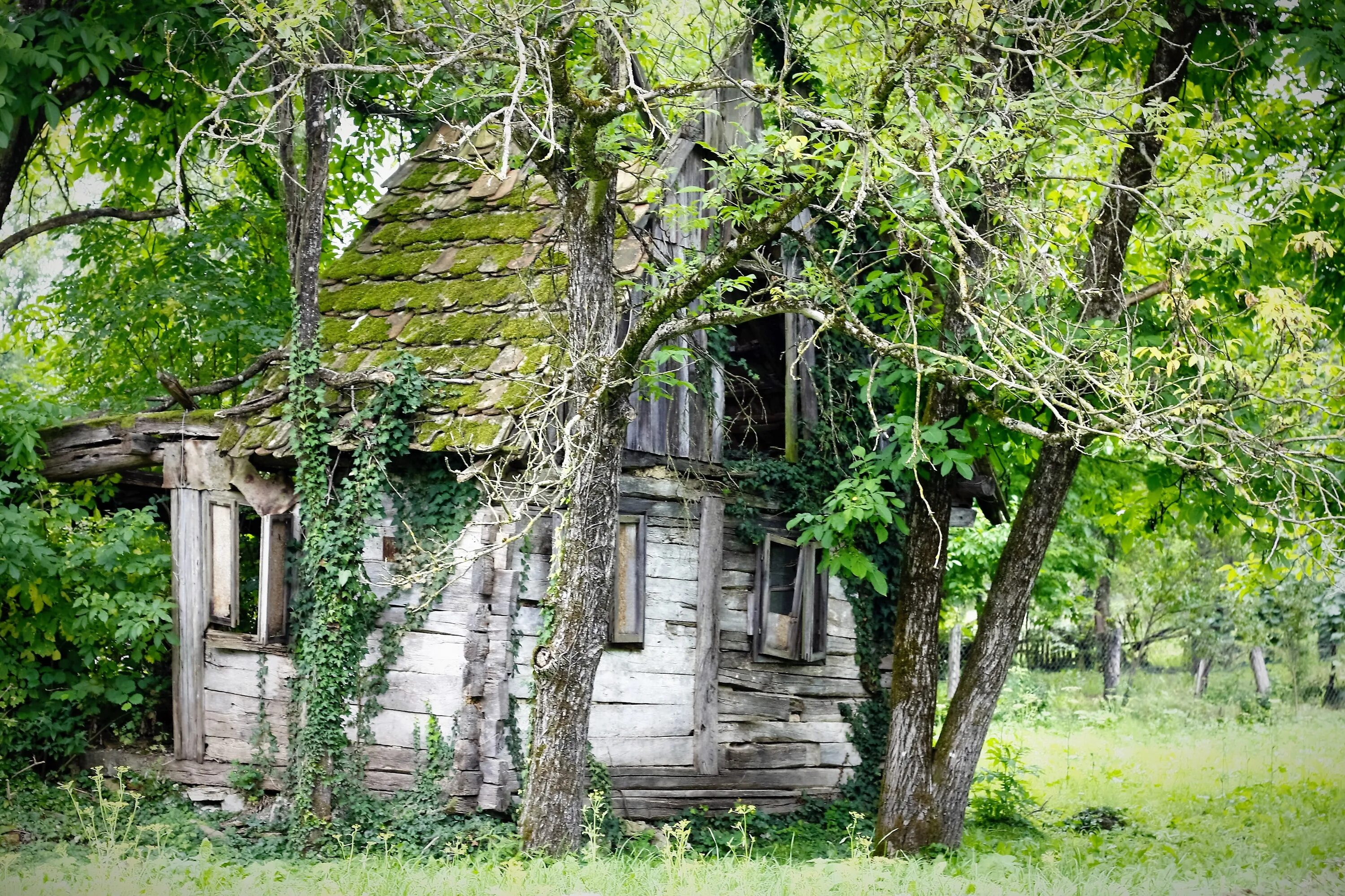 Старый разрушенный дом. Разрушенный домик. Развалины домов. Развалины деревянного дома. Старый дом развалины.