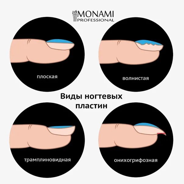 Почему форма ногтей. Схема выравнивания ногтевой пластины гелем. виды ногтевых пластин. правильная форма выравнивания ногтевой пластины. типы и формы ногтевых пластин.
