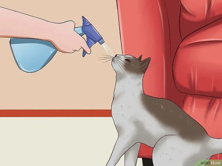 Как отучить кота