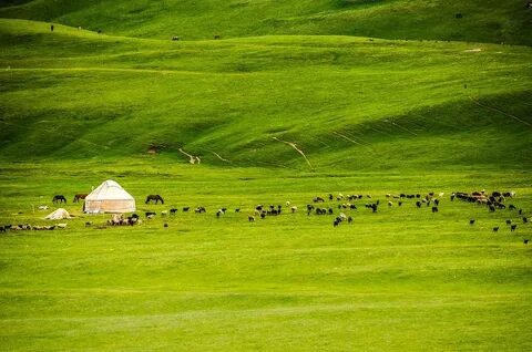 Онлайн фильмдерді HD 720p форматында, соның ішінде эротикалық порно және секс, Playboy қараңыз