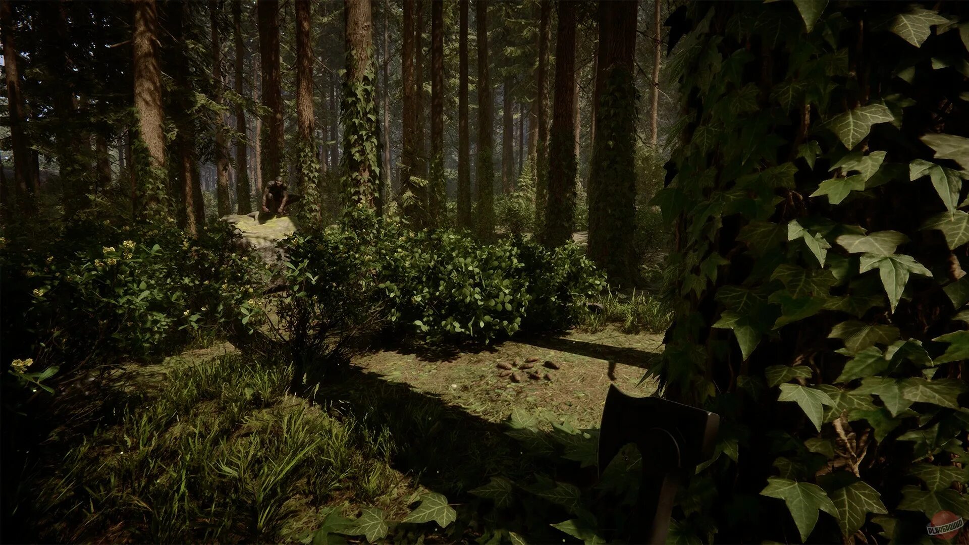 Sons of the forest freetp. Sons of the forest freetp