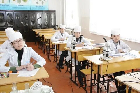 Колледжи башкирии после 9 класса