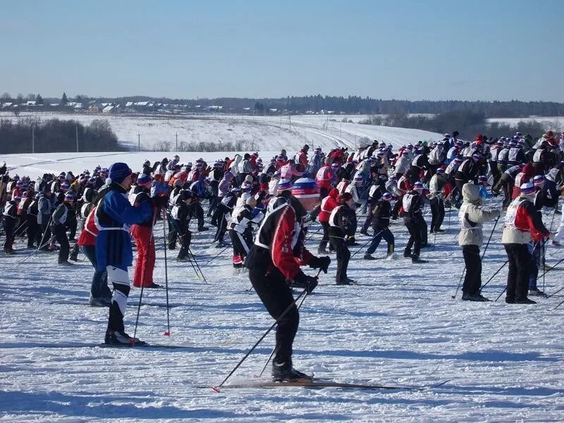 Лыжня России Яхрома. Лыжная трасса Яхрома. Лыжня России 2005 в Яхроме. Спортивные мероприятия на февраль. Яхрома новый