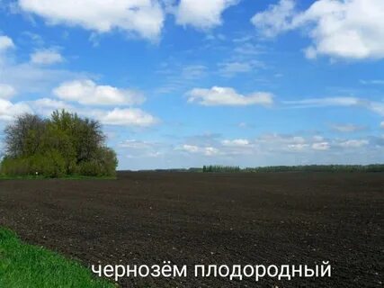 Черноземье грунты
