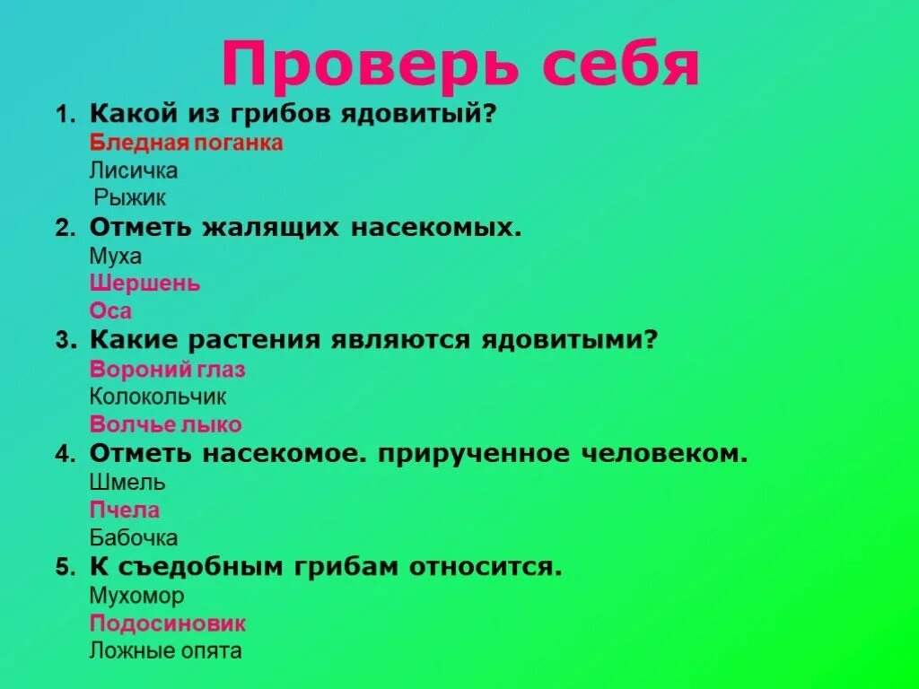 Тест окружающий мир лесные опасности 2 класс. Проект о лесных опасностях по окружающему миру 2. О лесных опасностях по окружающему миру 2 класс. Проект по окружающему миру Лесные опасности. Лесные опасности 2 класс растения.