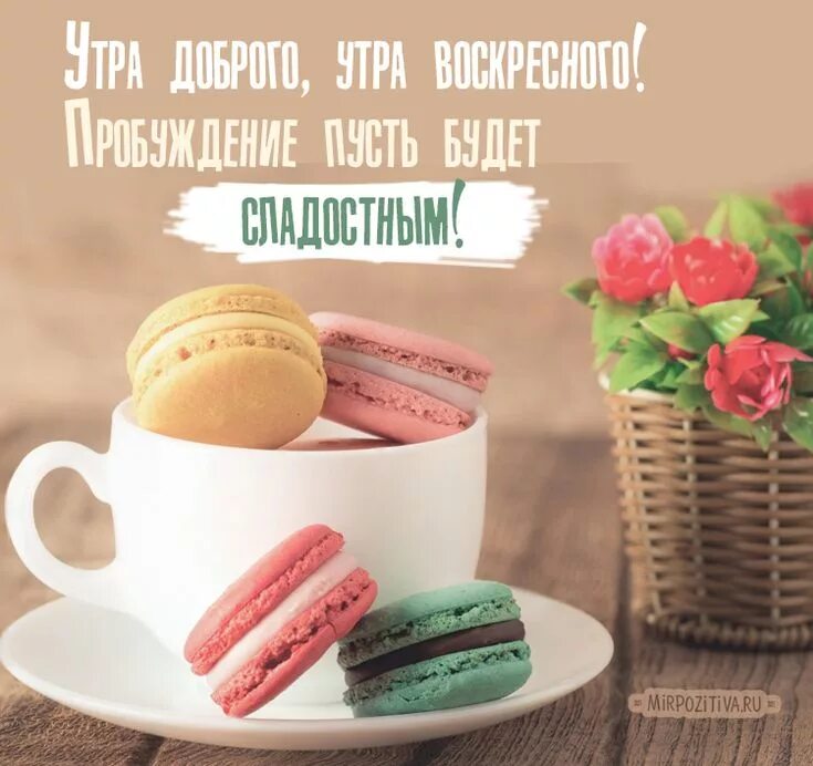 Доброе утро картинки позитивные прикольные необычные поднимающие. Стильные поздравления с добрым утром. доброе утро и хорошего дня стильные. стильные открытки с добрым утром. с добрым утром воскресенья прикольные.