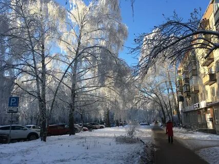 Деревья нижний новгород