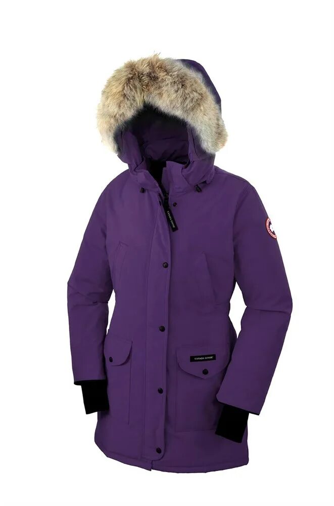 Куртка canada goose expedition. Canada goose сайт. Canada goose сайт. Canada goose expedition parka мужская. Canada goose arctic parka.