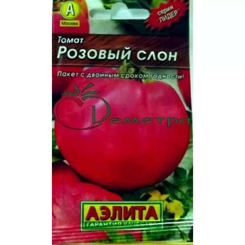 Томат розовый лидер описание сорта. Томат розовый лидер описание сорта