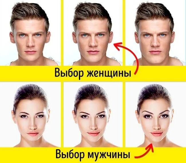 Мужской макияж для девушки. Идеальная внешность женщины. Красивый мужской нос. Мужские лица с феминными чертами. Внешность женщины которая привлекает.