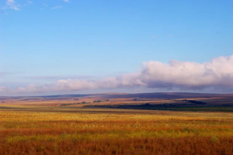 Степь основа. Экибастузская степь. сарыарка, золотая степь. степная зона. степь для детей.