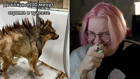 Дрейк нарезки