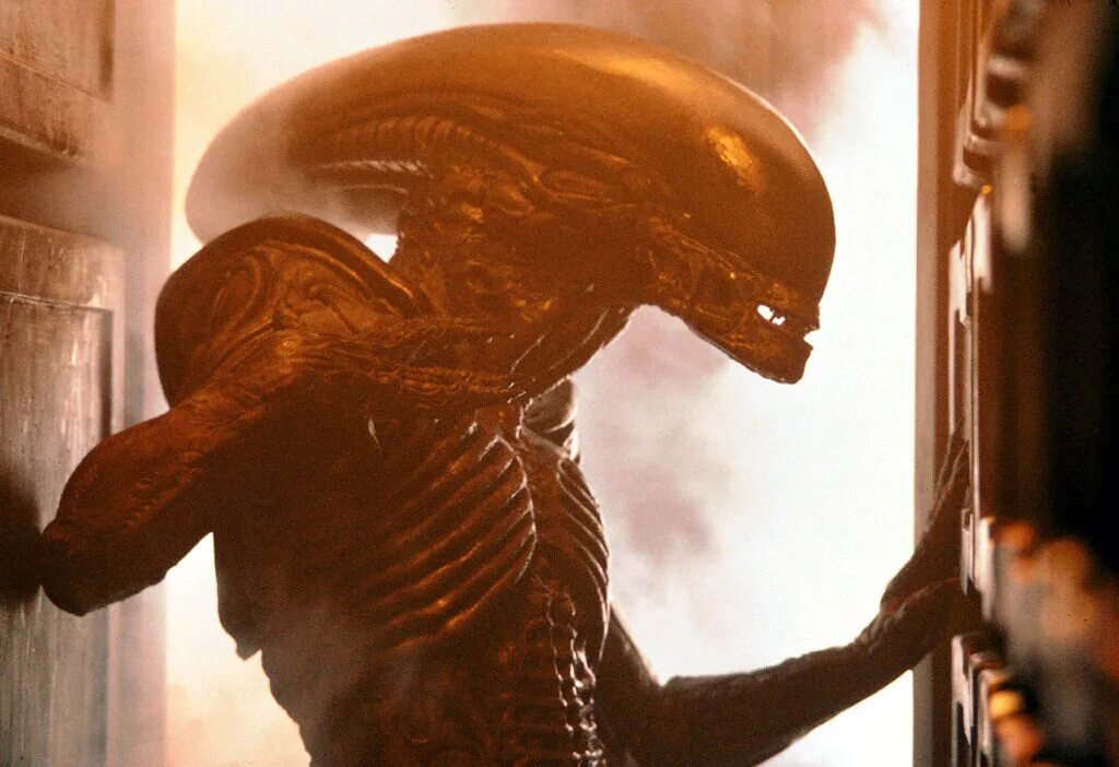 Alien movie. Рипли чужой 3. Чужой 3 Ксеноморф и Рипли.