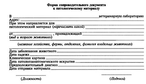Протокол вскрытия лошади