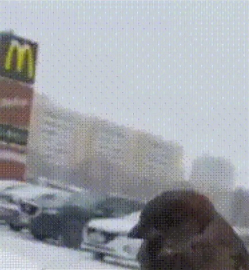 Сбить воробьев машиной к чему. Сбить воробьев машиной к чему