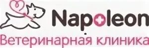 Наполеон ярославль ветеринарная. Наполеон ярославль ветеринарная. Наполеон ярославль ветеринарная. Наполеон ярославль ветеринарная. Наполеон ярославль ветеринарная.