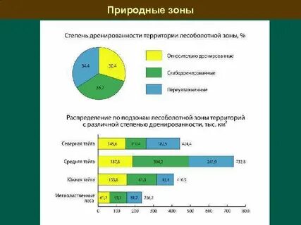 Составьте прогноз