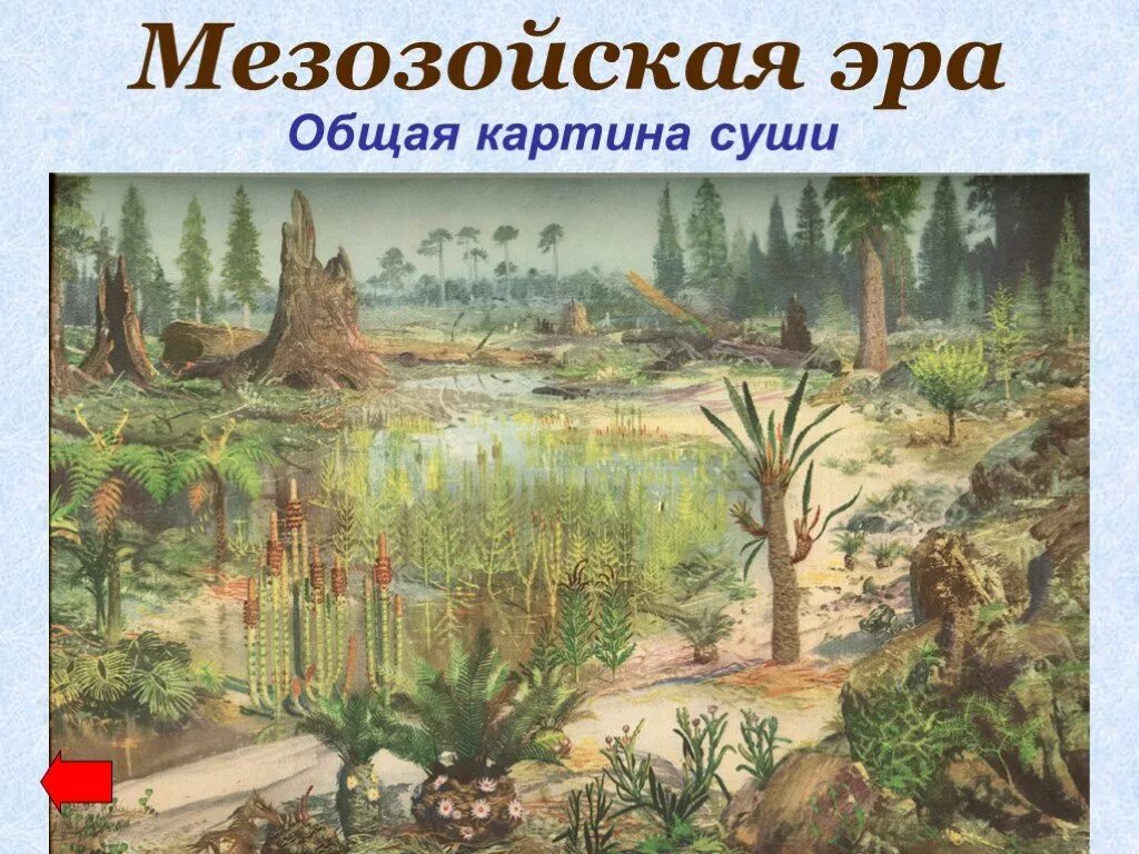 Жизнь на суше появилась. Триасовый период мезозойской эры растения. Мезозойская Эра Юрский период растения. Юрский период мезозойской эры. Мезозойская Эра, мезозой.