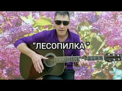 Песня сторожа