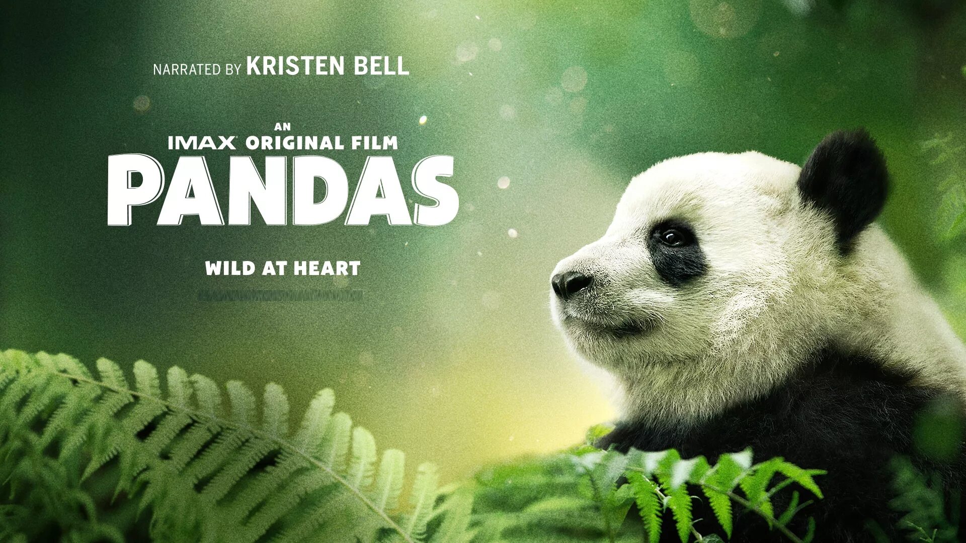 Pandas min max