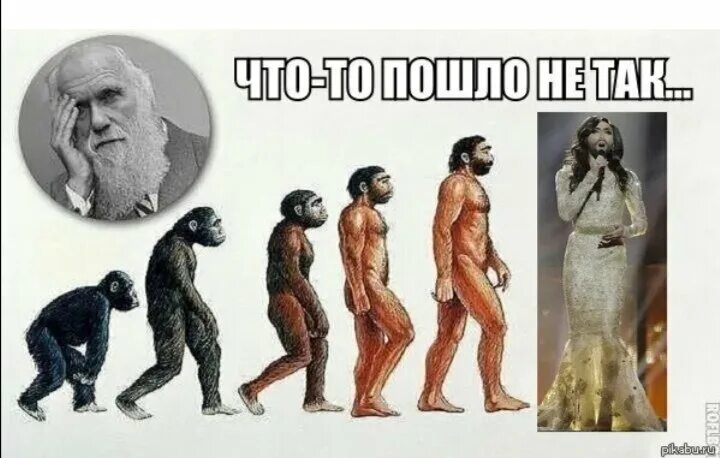 Хомо сапиенс обезьяна. Обезьяна откуда появились. Хомо сапиенс зарождение. Обезьяна откуда появились. Обезьяна откуда появились.